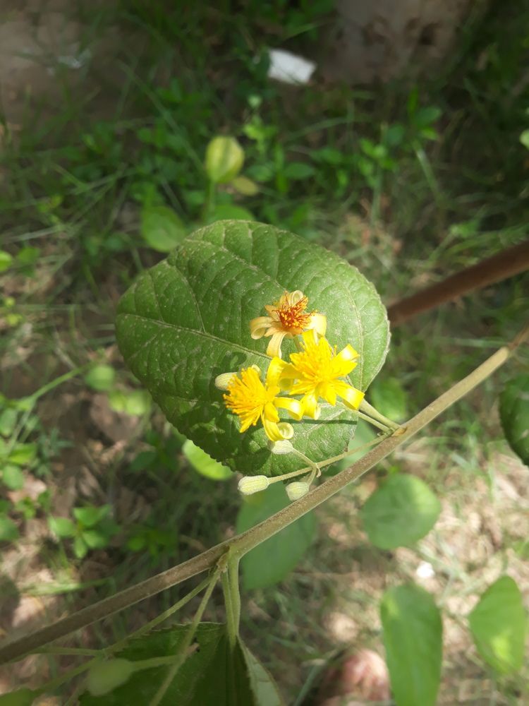 Photo #13054433