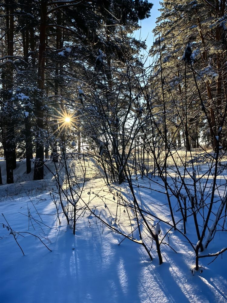 Photograph by Александра Шишулина