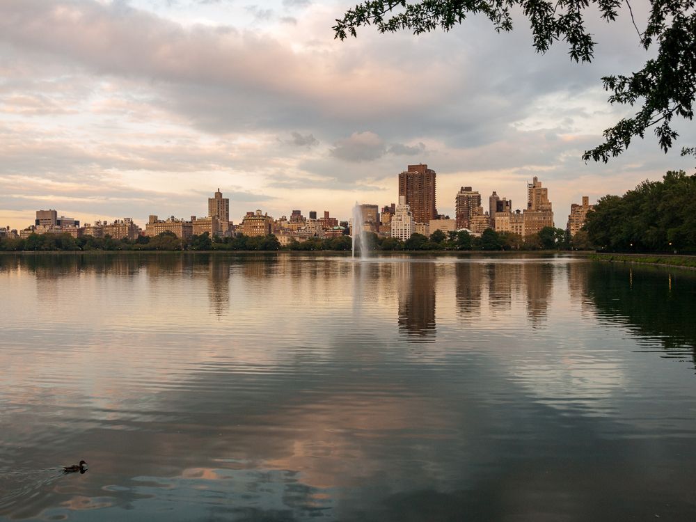 Photograph by Vicente Alberto Roses