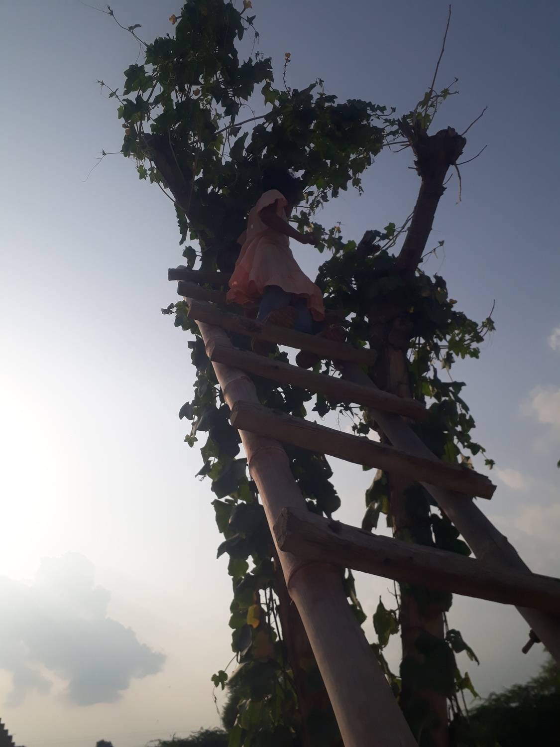 Photo #13054445