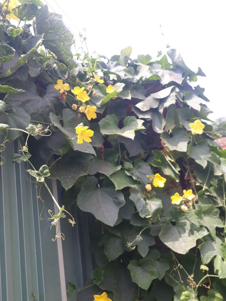 Photo #13054466