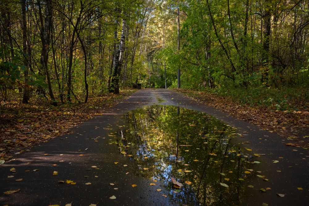 Photograph by Константин Пухов