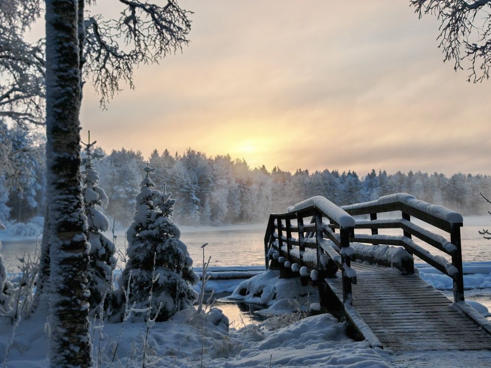 Фотография автора OLga Piirainen