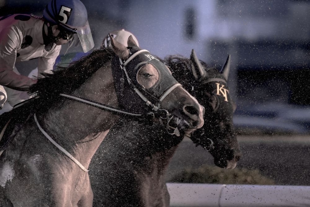 Photograph by 音無