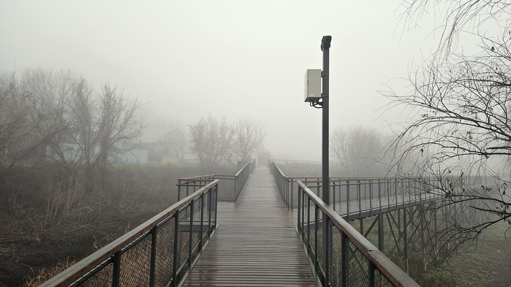 Photograph by Наталья Анисимова