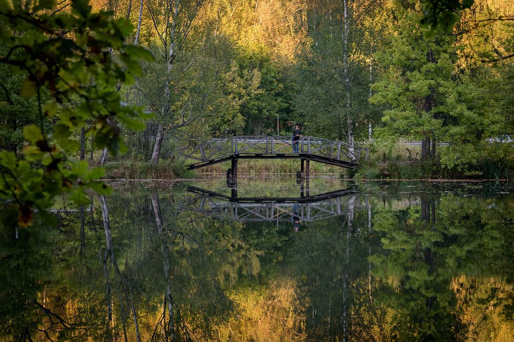 Фотография автора Yakovlev Artur