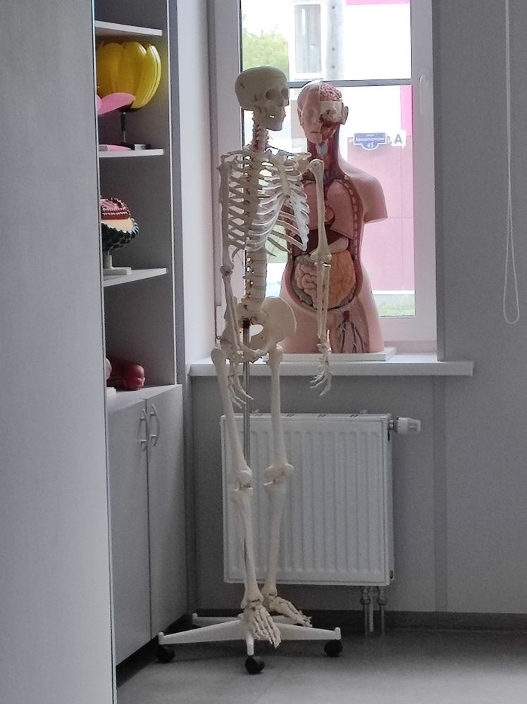 Скелет из шкафа - не все так просто