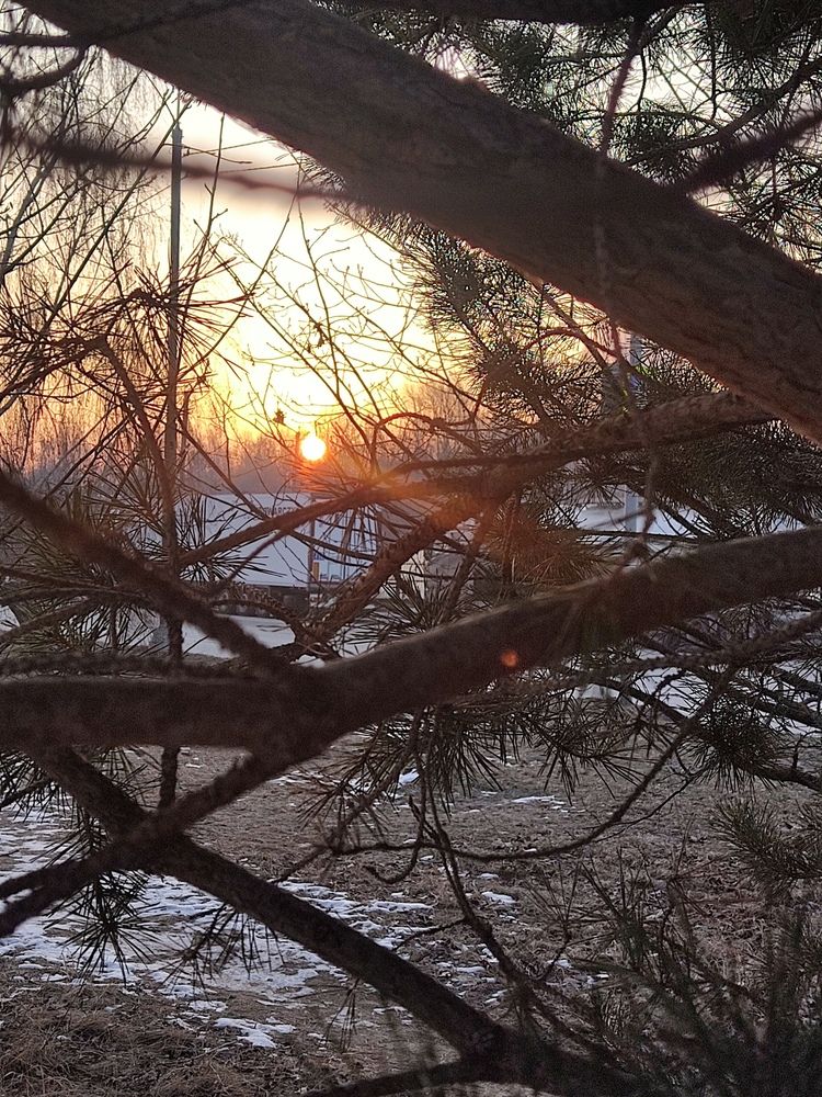 Photograph by Оксана Чеснакова