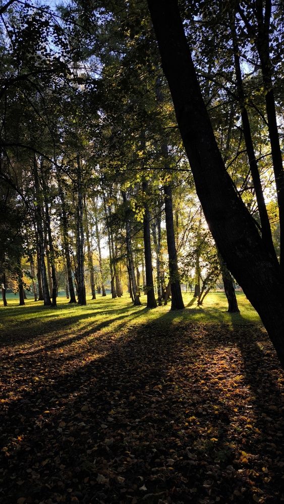 Фотография автора Ekaterina Sapezhinskaya