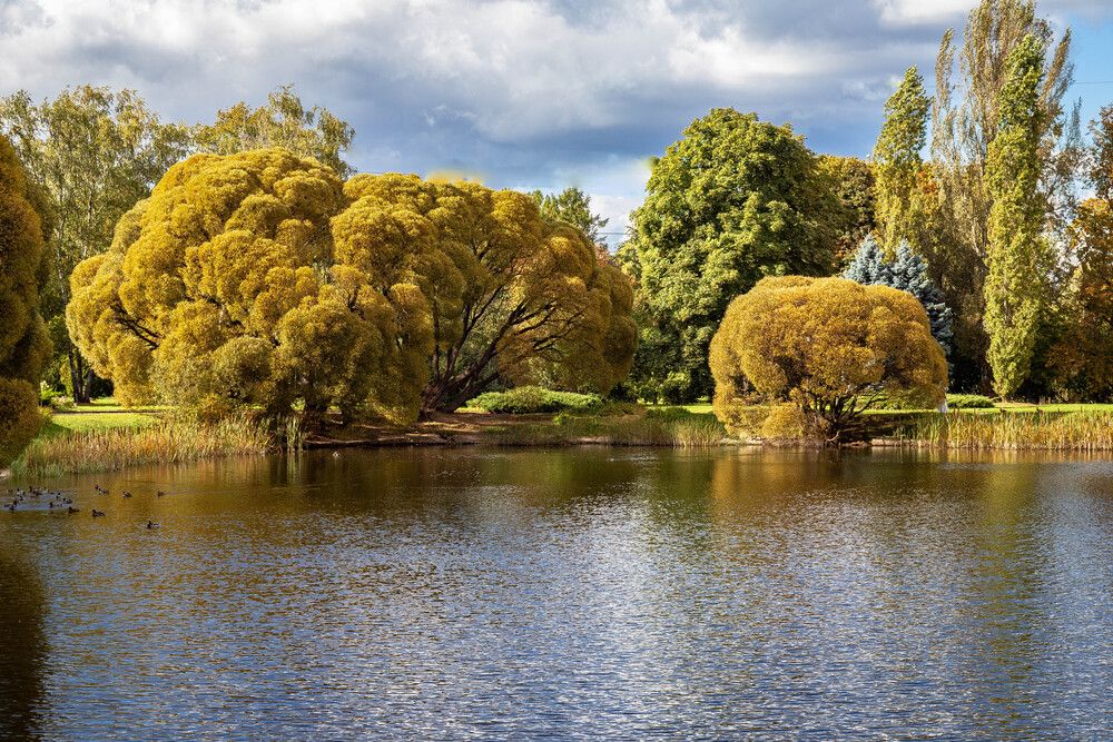 Photograph by Elena Itenberg