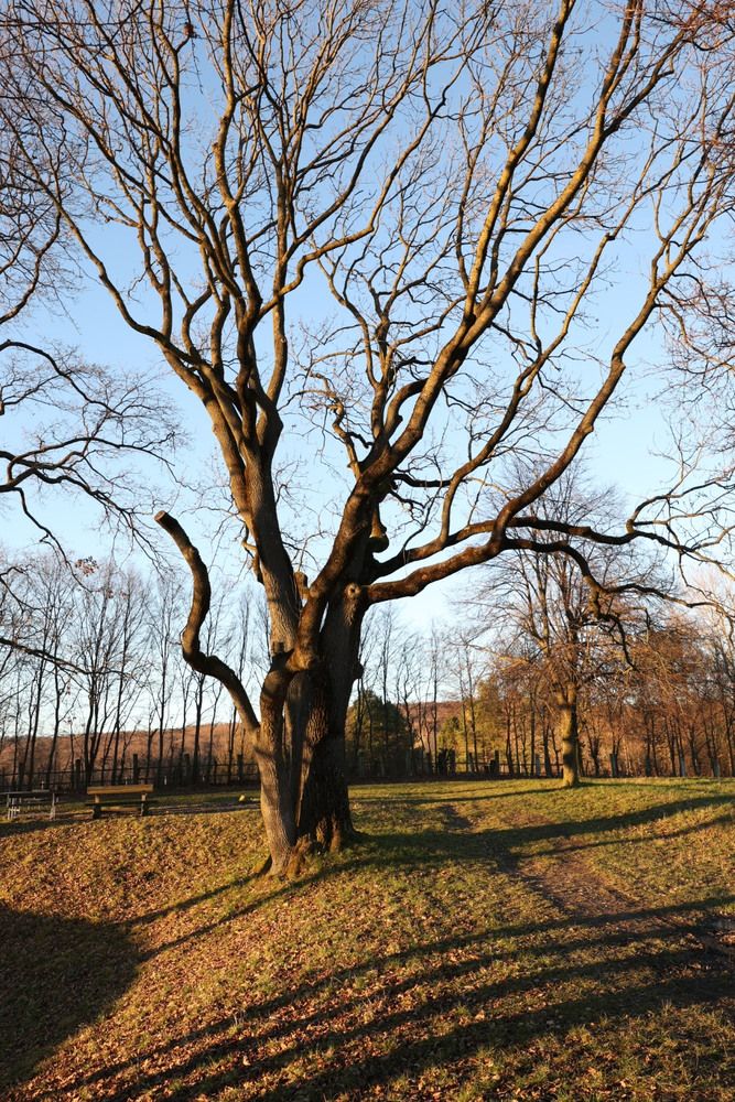 Photograph by Liudmila Lapochkina