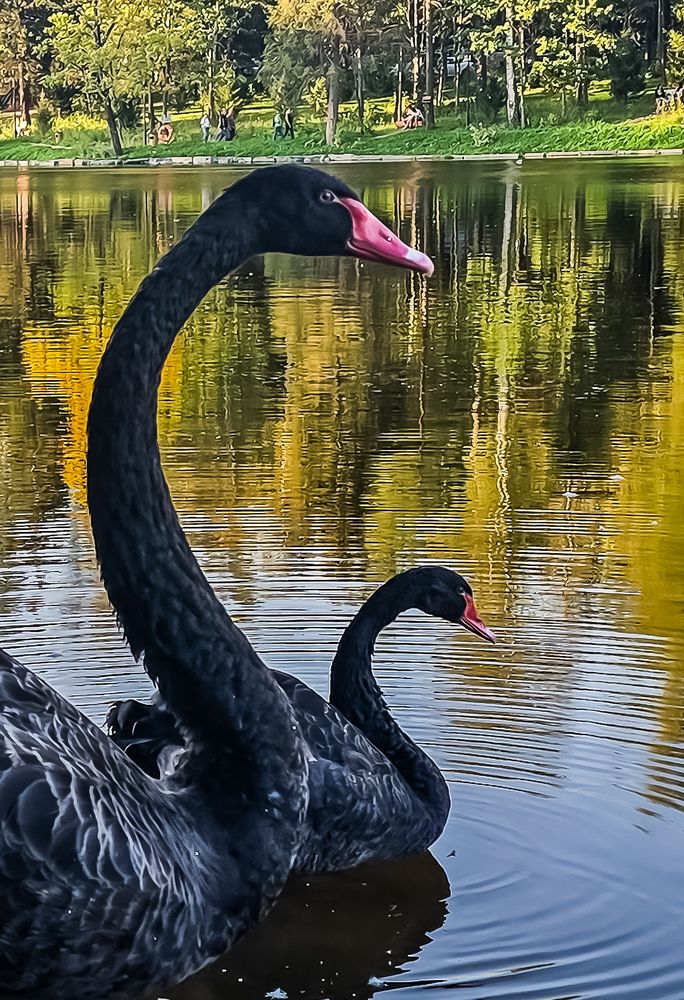 Фотография автора Нина Зинченко
