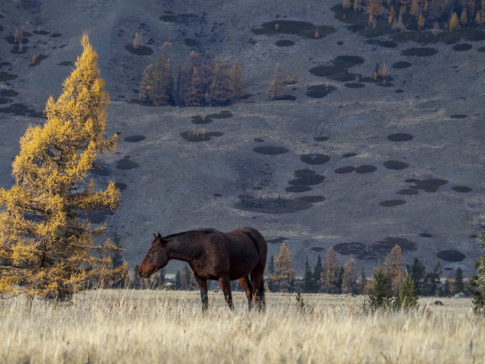 Photograph by Надежда Михайлина
