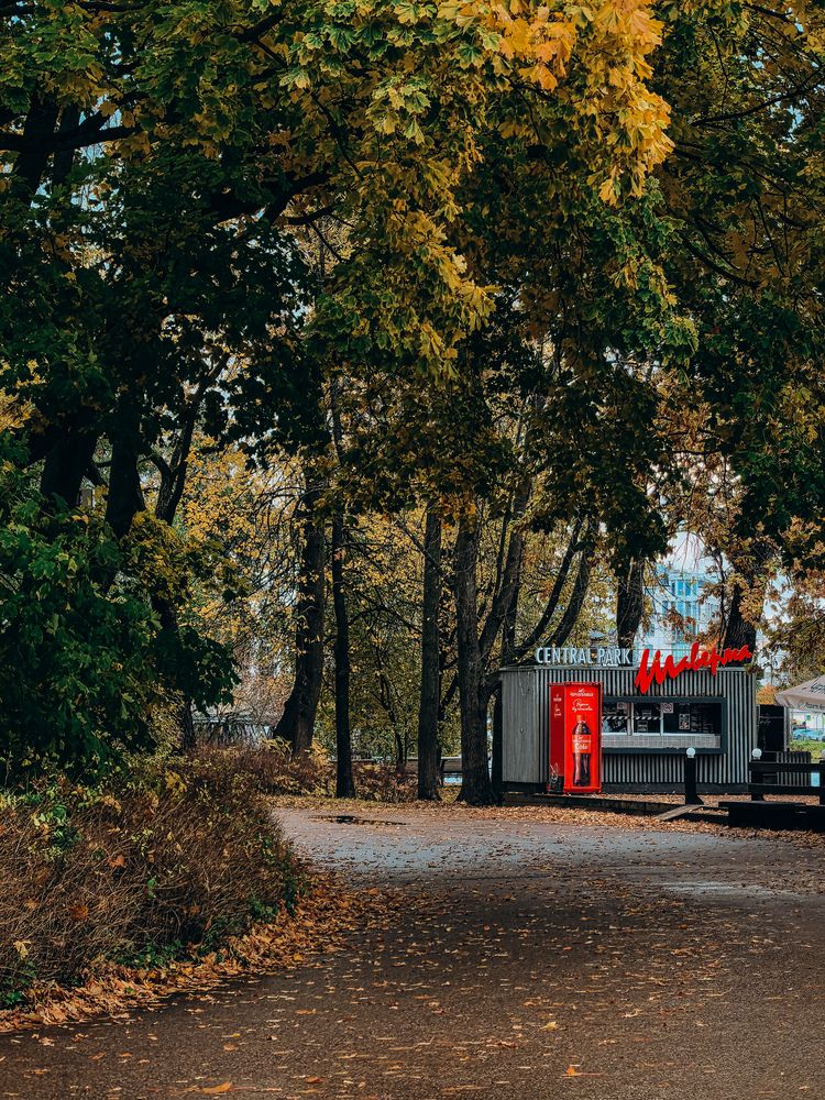 Фотография автора Анна Ворончихина