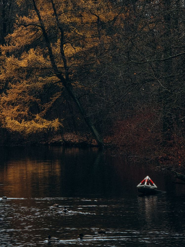 Фотография автора Анна Ворончихина