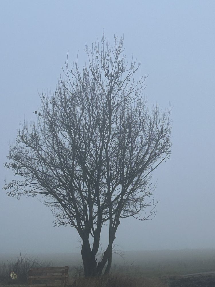 Photograph by Liudmila Lapochkina