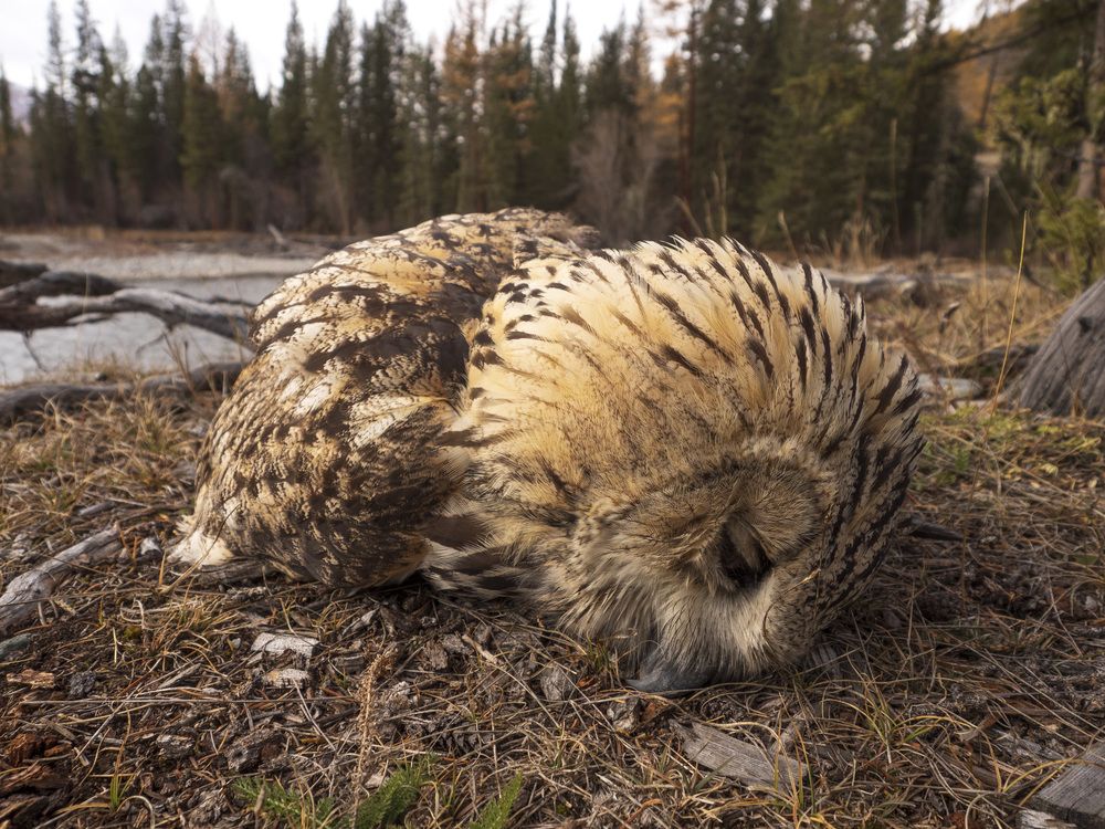 Photograph by Надежда Михайлина