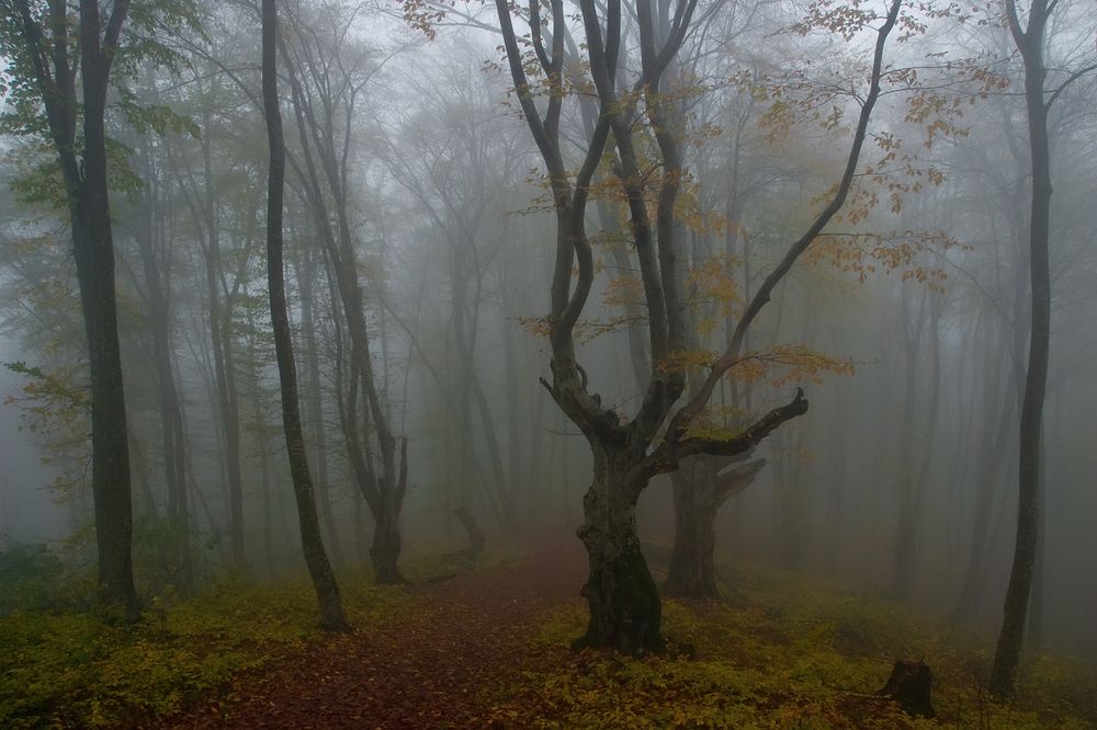 Photograph by Хасан Журтов