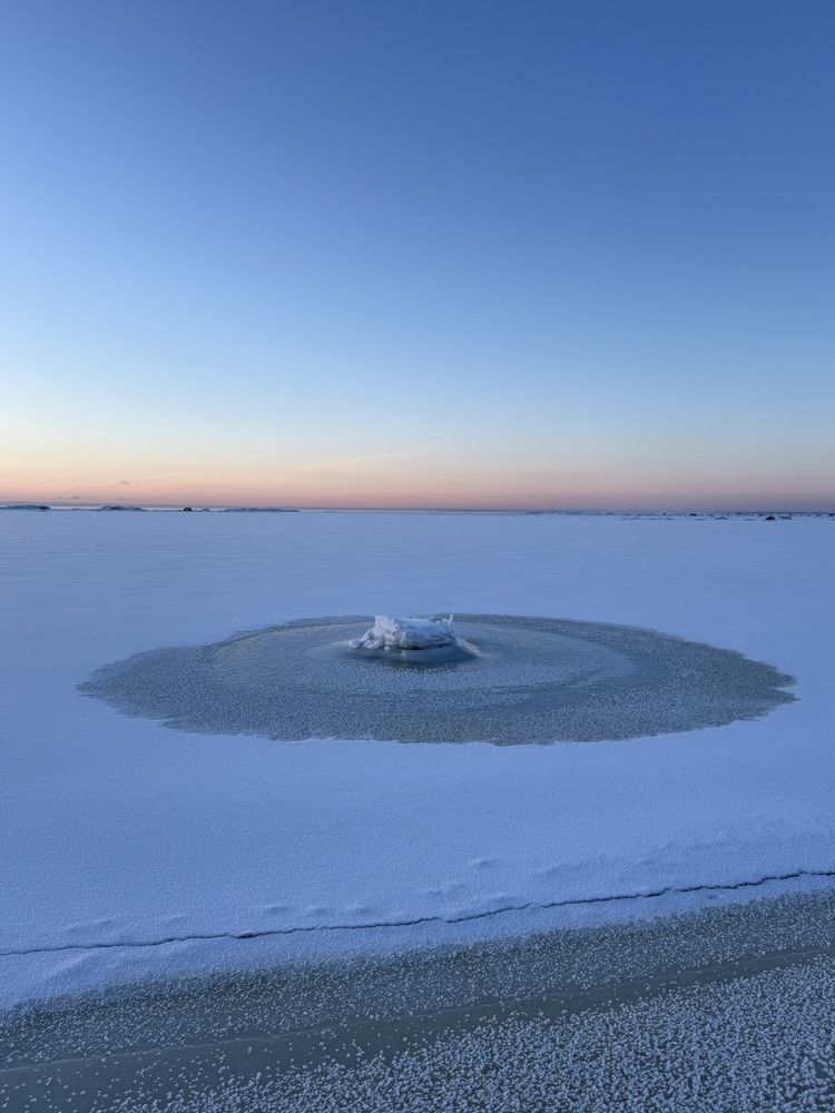 Photograph by Бондаренко Светлана