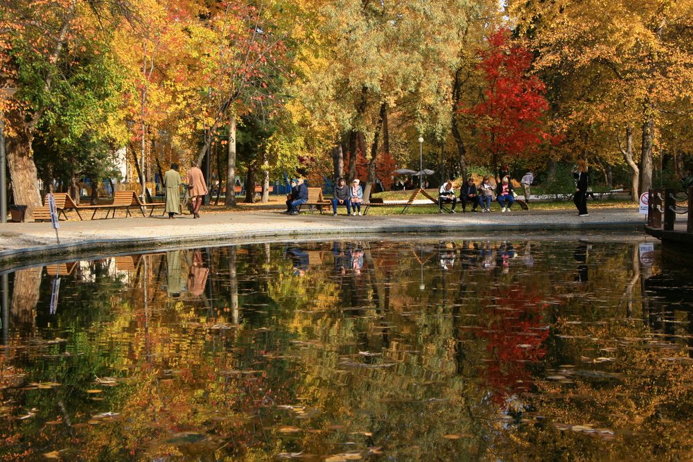 Photograph by Ирина Вассерлауф