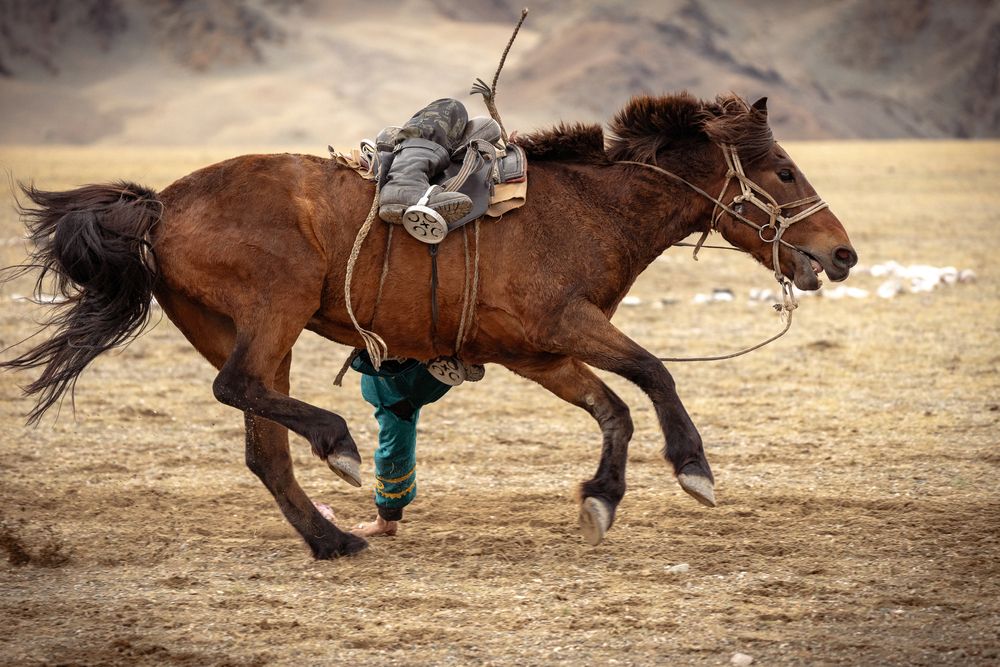 Photograph by Екатерина Дубровская