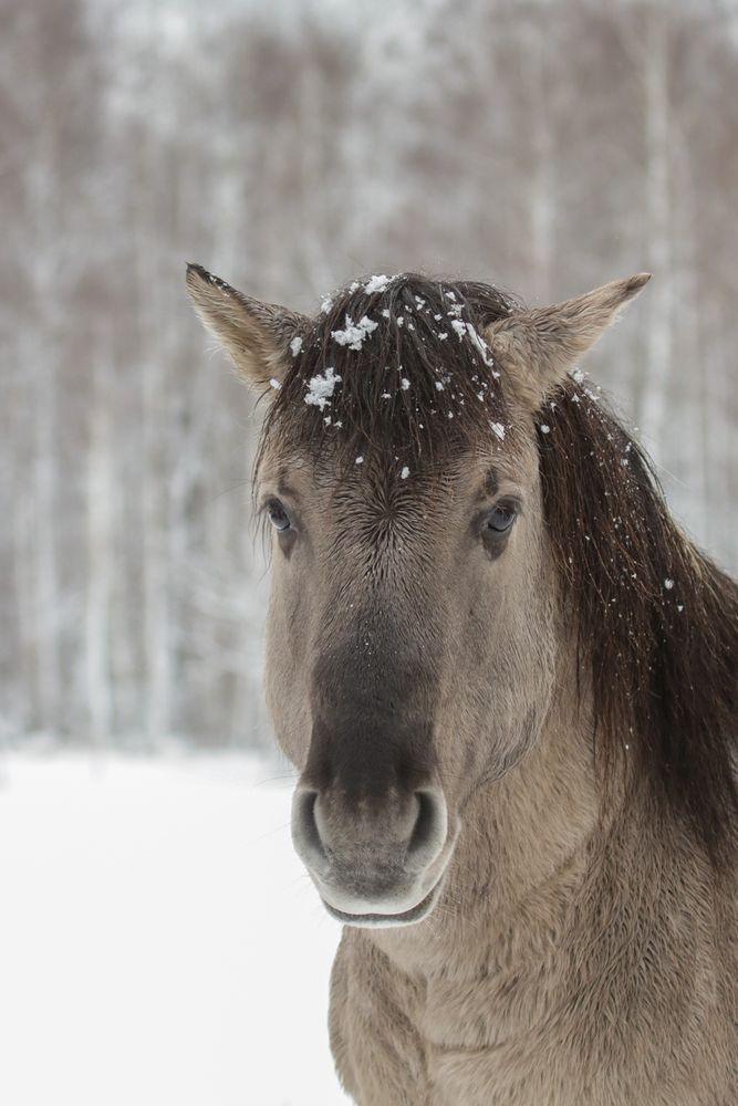 Photograph by Надежда Зайцева