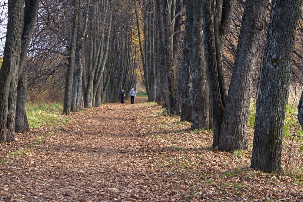 Photograph by Ирина Вассерлауф