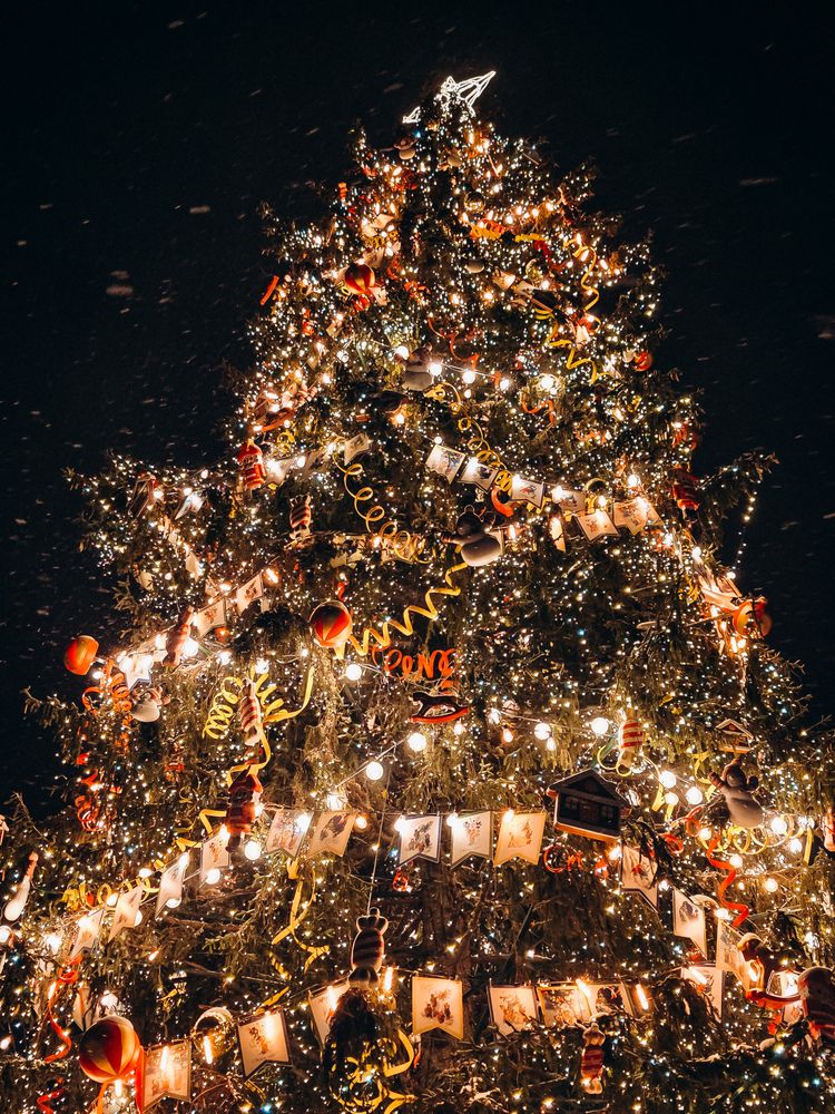 Фотография автора Анна Ворончихина