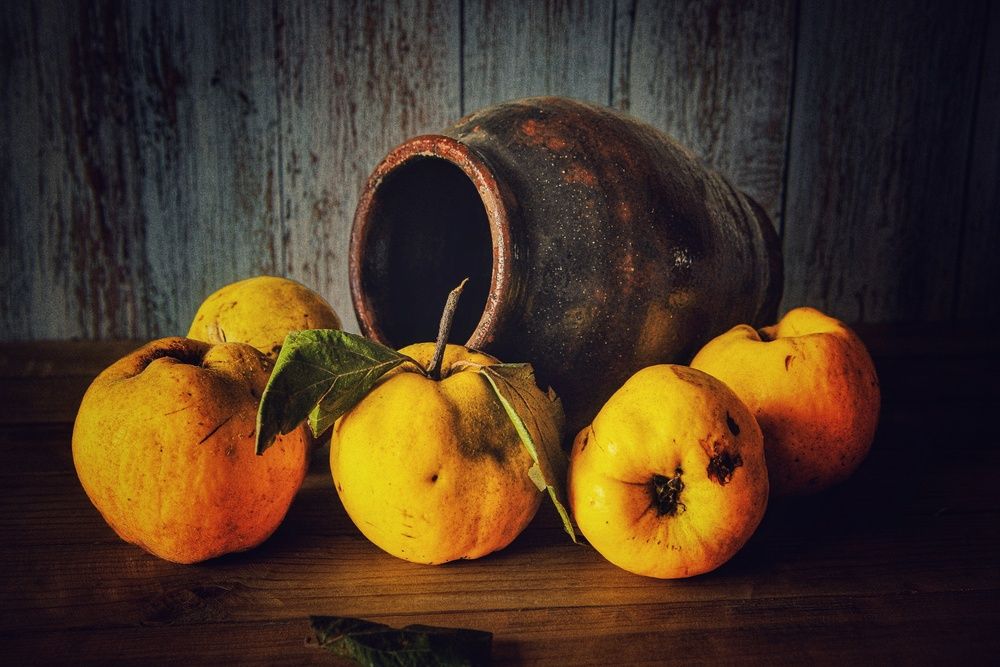 Photograph by Алексей Шевцов