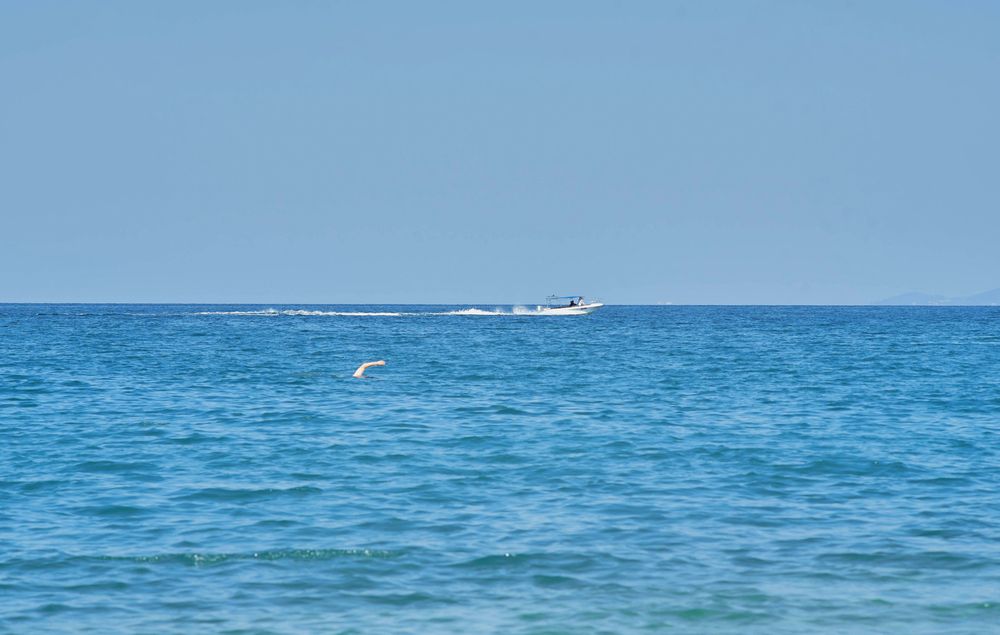 Photograph by Лариса Процкова