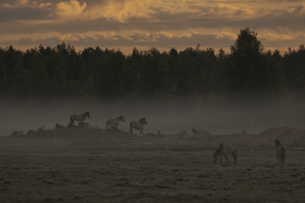 Photograph by Ольга Шайдулина