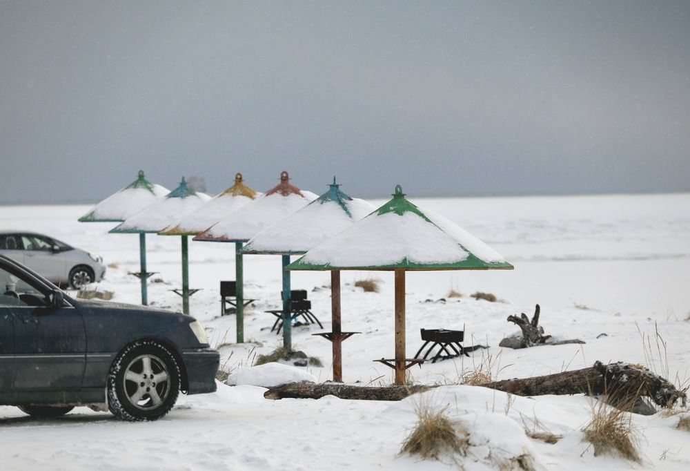 Photograph by Лариса Ким