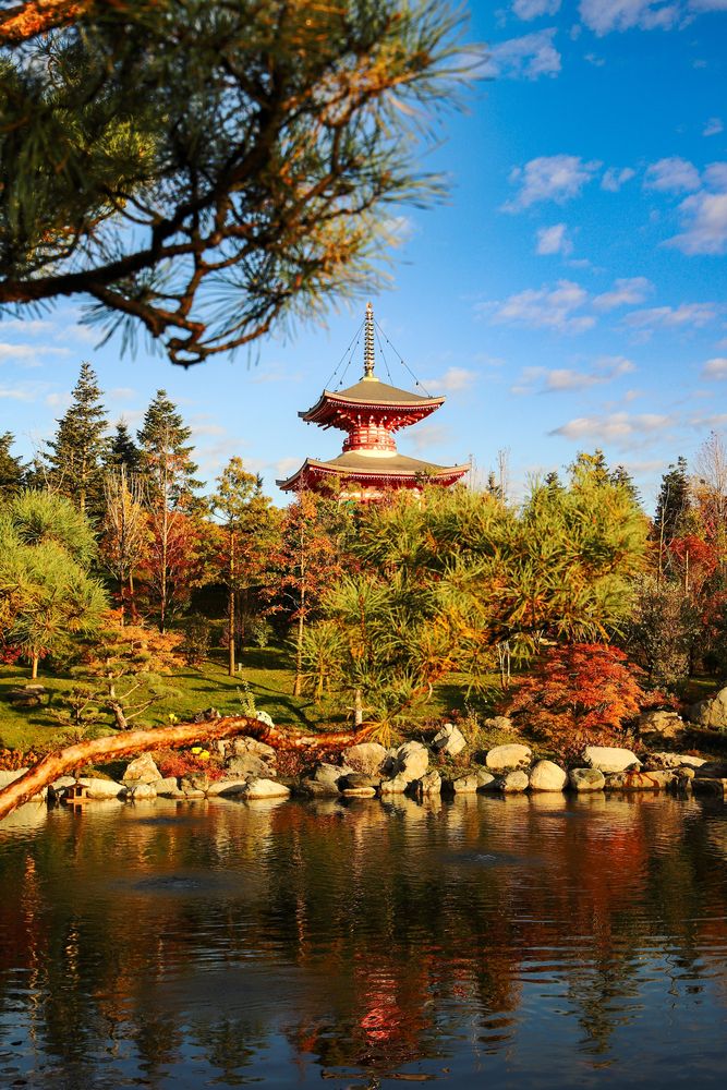 Photograph by Алексей Шевцов