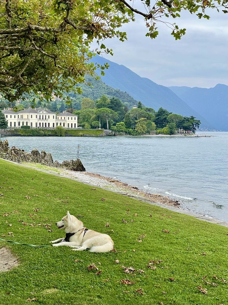 Фотография автора Nadezhda