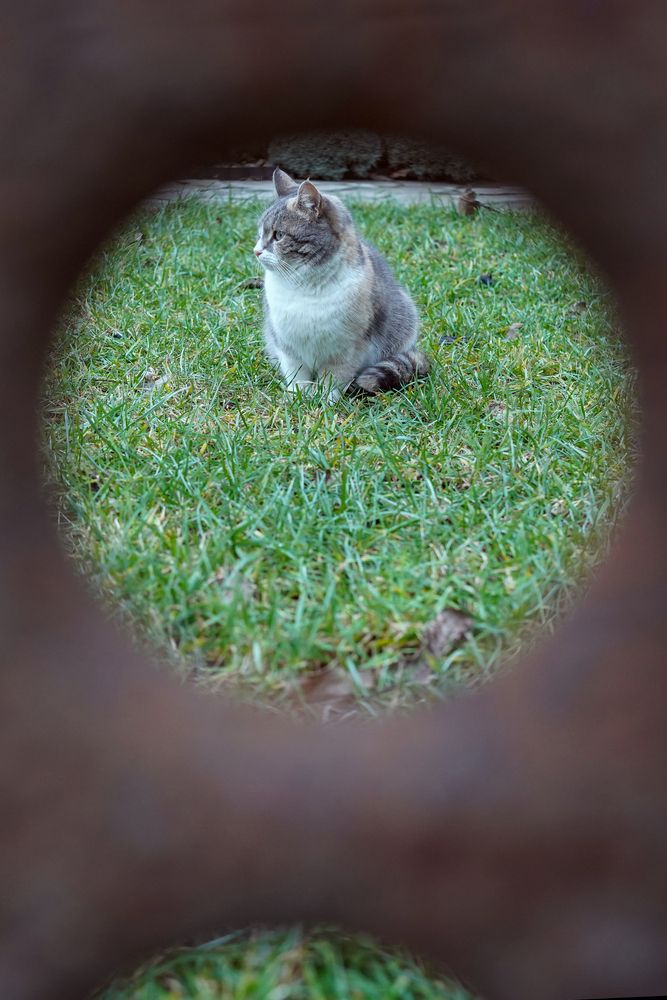 Photograph by Наталия Ангельева