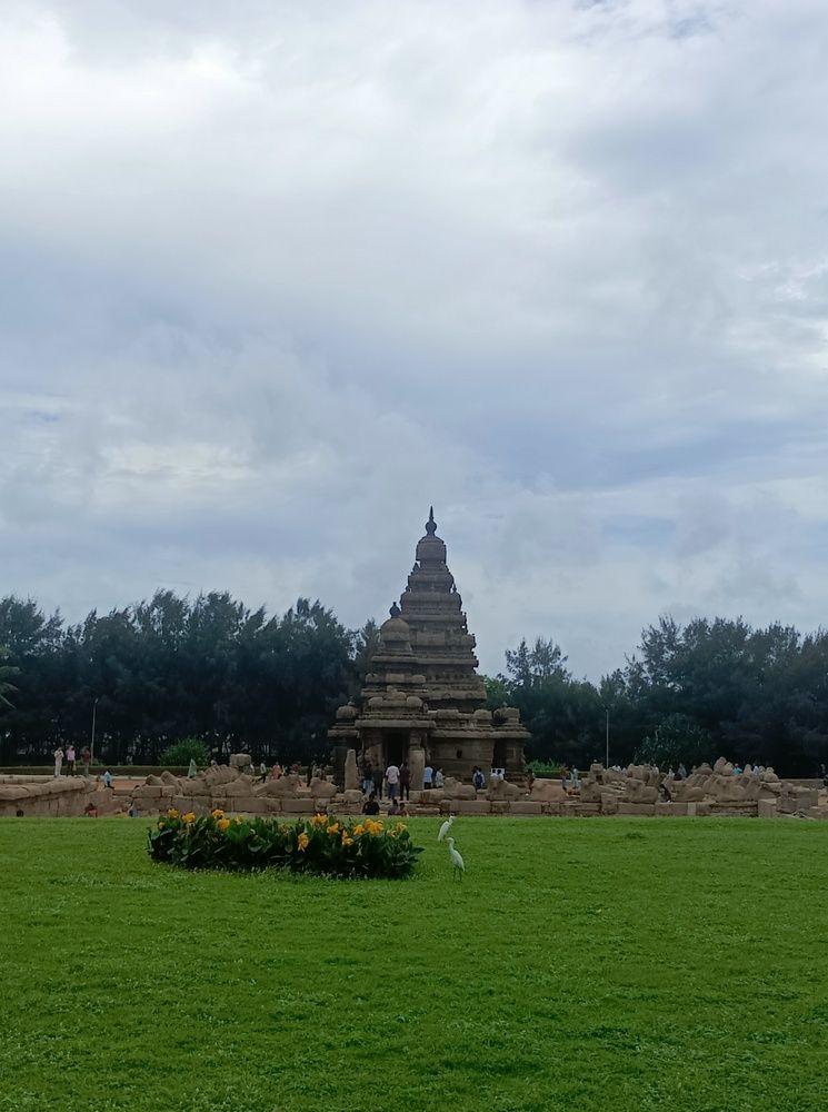 Photograph by Bhargav Pinapatruni