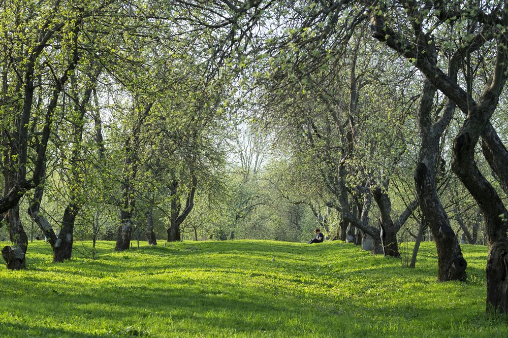 Photograph by Оксана Егорова