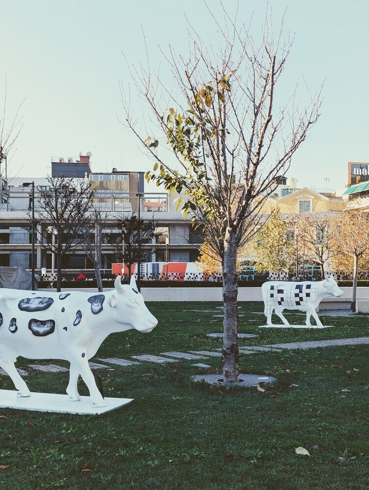 Photograph by Екатерина Абрамова