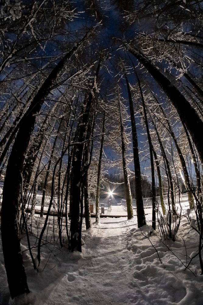 Photograph by Алексей Раимун