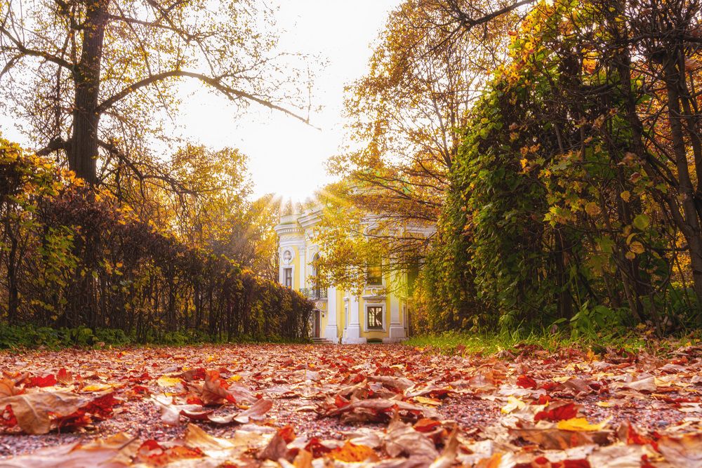 Photograph by Алена Устинович