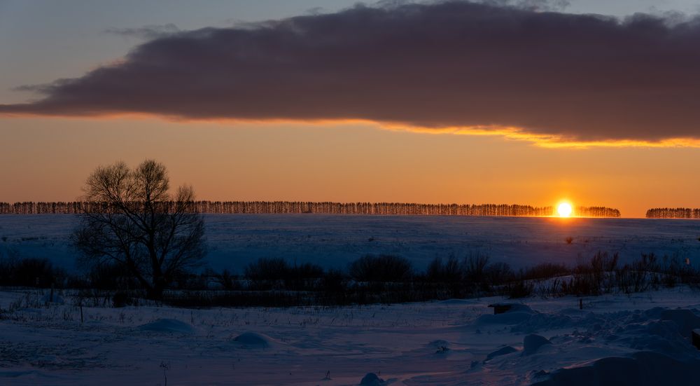 Фотография автора Павлов Дмитрий