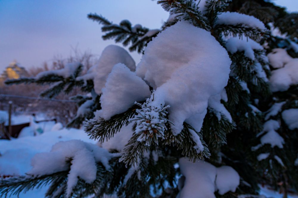 Фотография автора Павлов Дмитрий