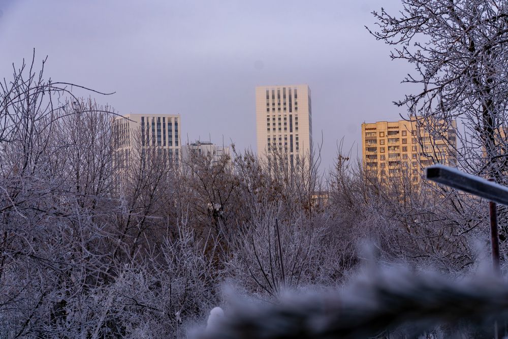 Фотография автора Павлов Дмитрий