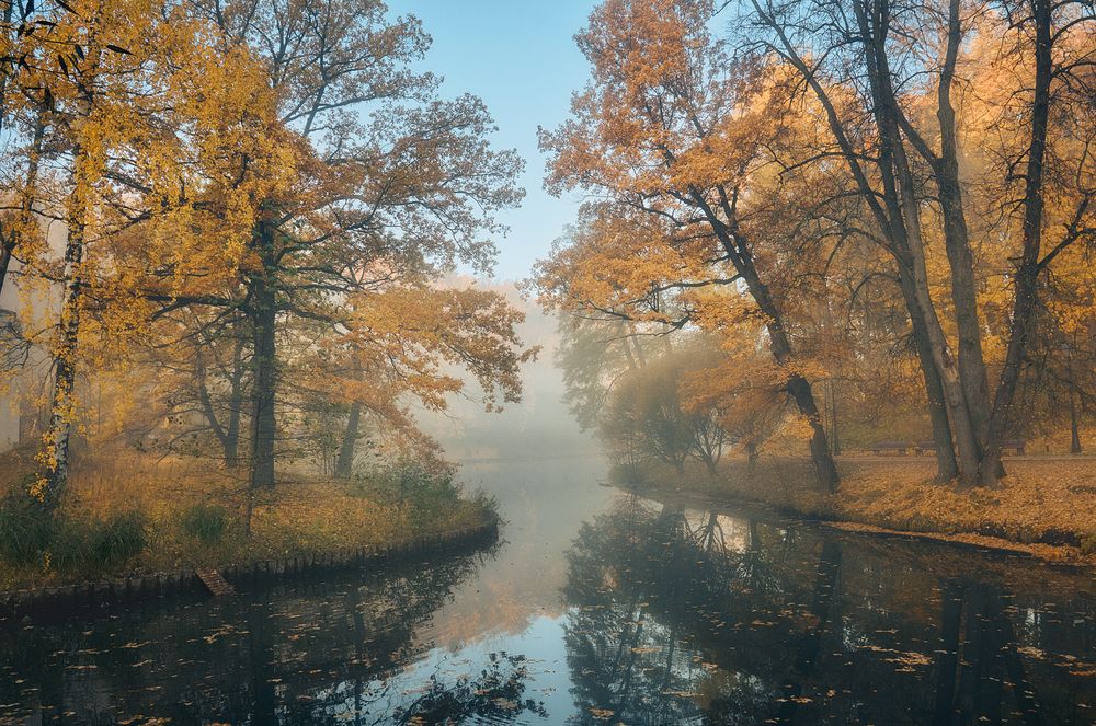 Photograph by Александр Гришин