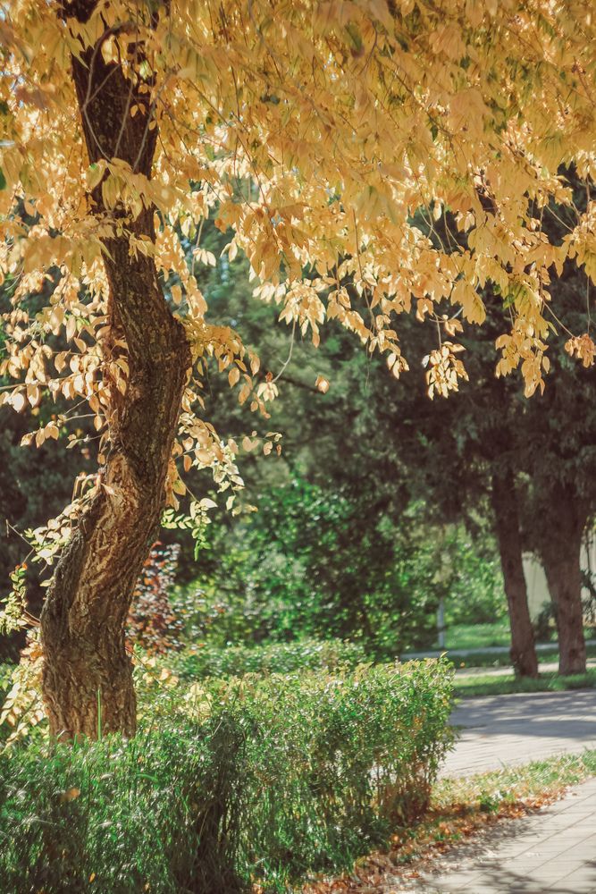 Photograph by Александра Воронина