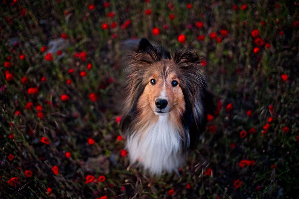 Photograph by Jieyu Xiong