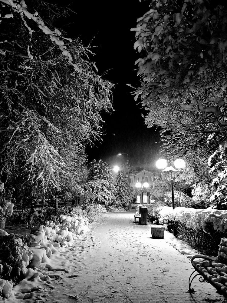 Зимняя сказка