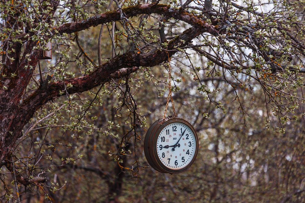 Photograph by Сергей Фомченков