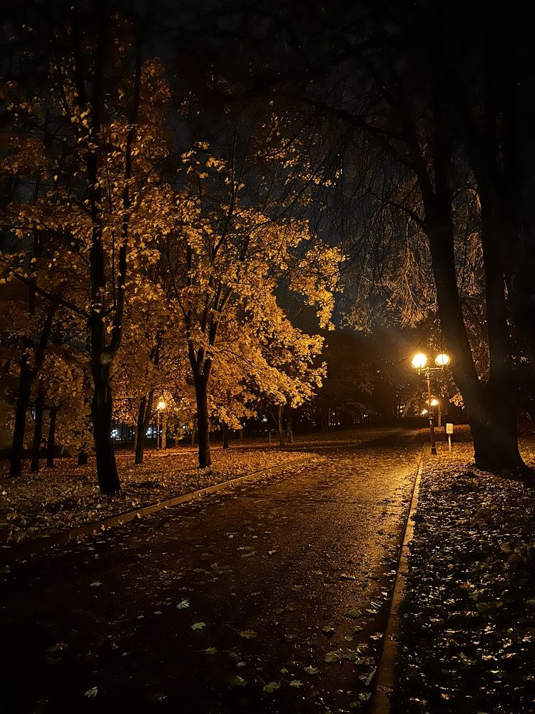 Photograph by Наумова Татьяна