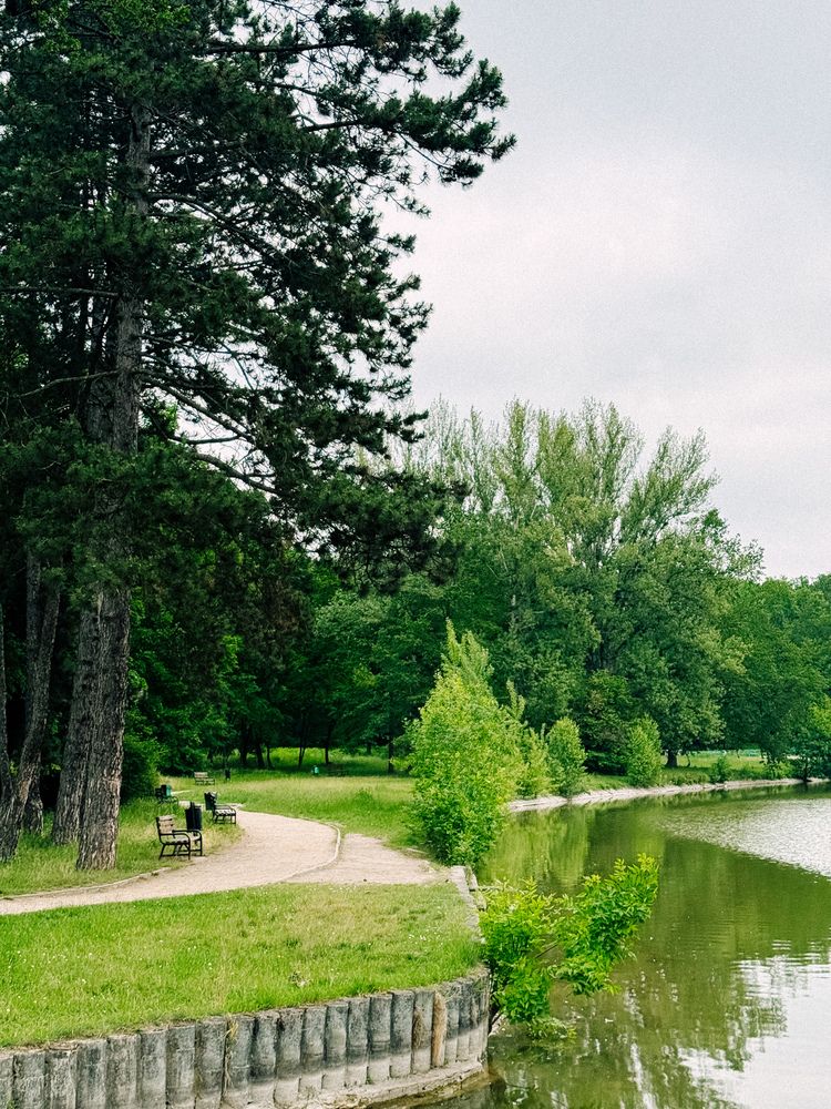 Photograph by Evgenia